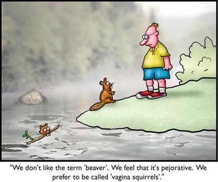 Beaver Beaver