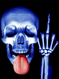 Skull F&*#cker! Skull F&*#cker!