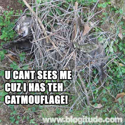 Catmouflage