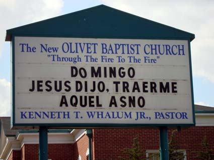 Traerme Aquel Asno!